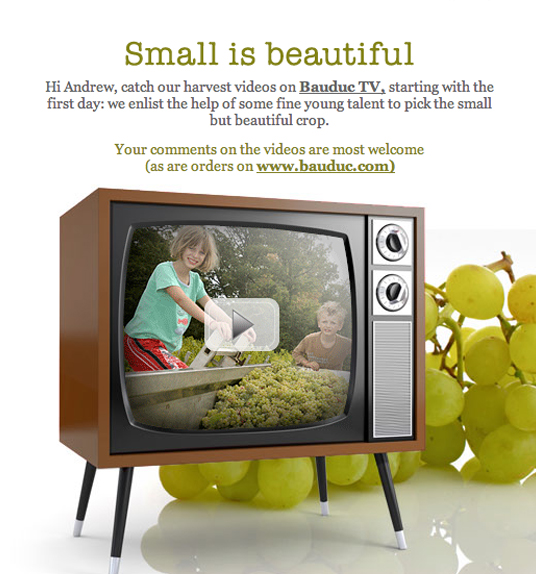smallbeauty
