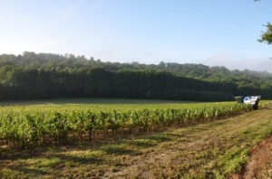 dsc_06681