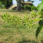 img_5654_2