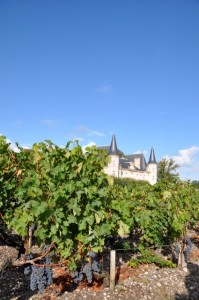Cabernet Sauvignon at Pichon Longueville, 26 September