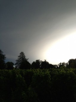 Storm cloud over Bauduc, 2 Aug, moments before the hail
