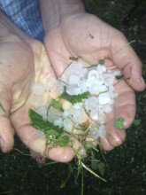 Bauduc Hail iPhone - 10
