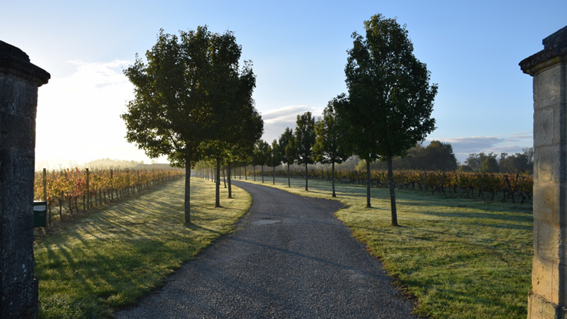 DSC_0021_resize