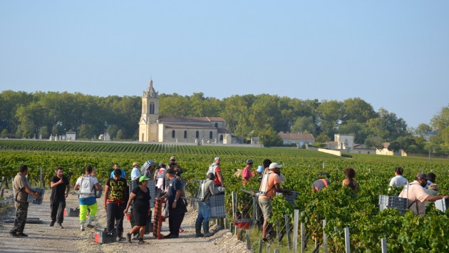 Palmer_header_image