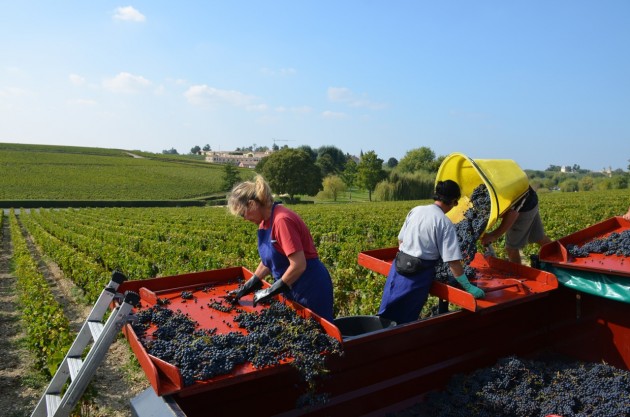 Lafite 24 Sept 2014 - 117